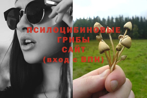 трава Горняк