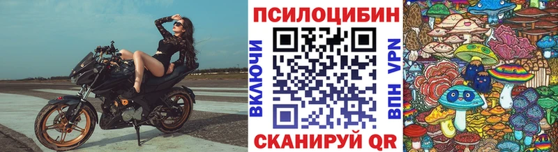 Купить  Беломорск  Галлюциногенные грибы Psilocybe 