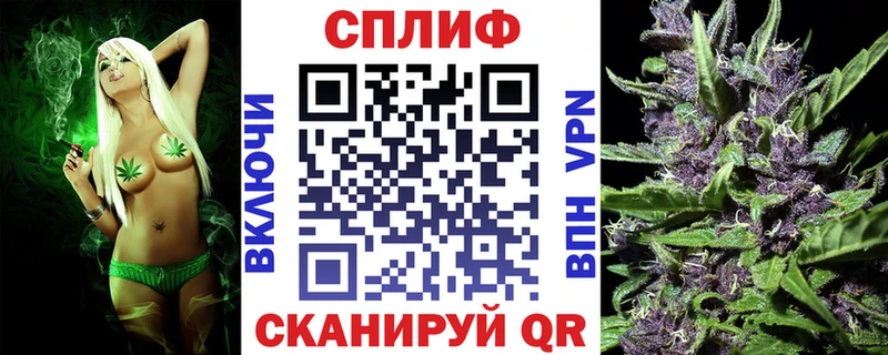 Купить где  Беломорск  Конопля индика 